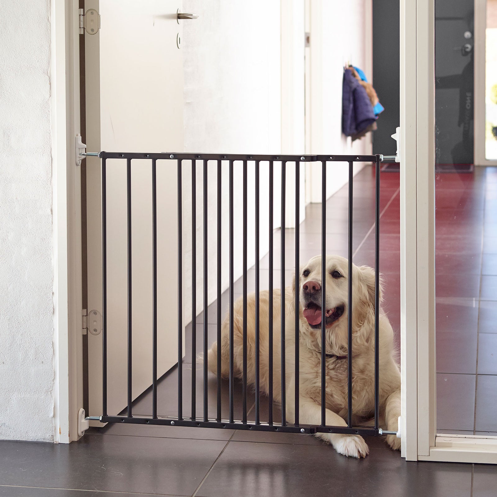 Scandinavian Pet MultiDan Wall Mount 24.6-42in Doorway Safety Baby Gate, Black - VMInnovations