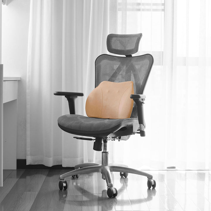 WENNEBIRD Model Q Lumbar Memory Foam Support Pillow to Improve Posture(Open Box) - VMInnovations