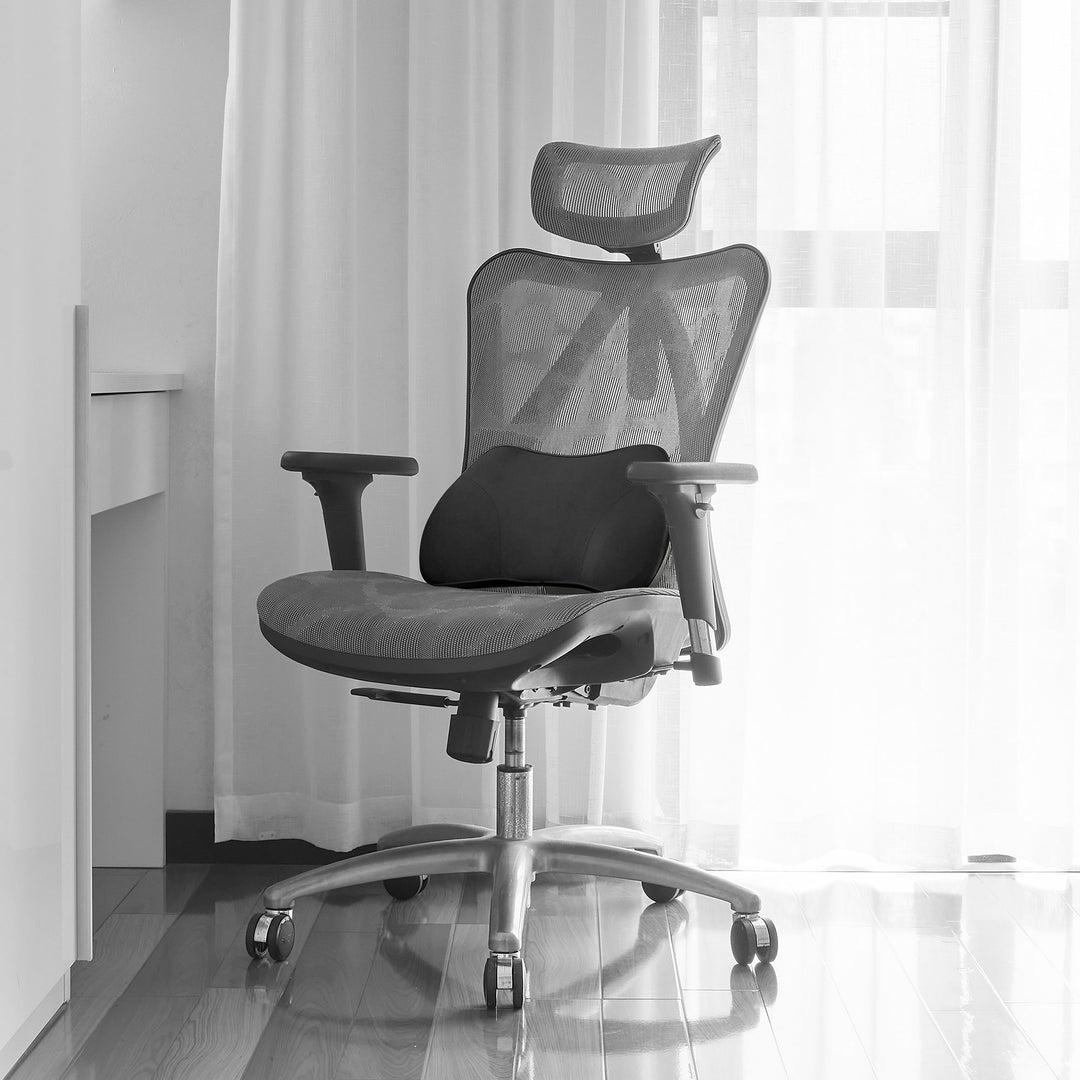 WENNEBIRD Model B Lumbar Memory Foam Pillow to Improve Posture, Black (Used)