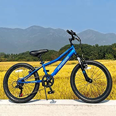 Petimini Cyclone 20" 6 Speed Kids Mountain Bike for 5-9 Year Olds, Blue (Used)