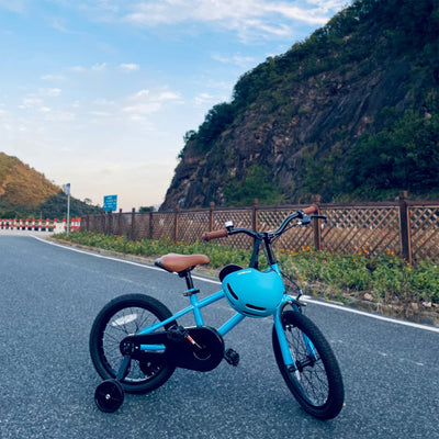 Petimini 16' BMX Style Bike w/Training Wheels for 4-7 Yrs Old, Blue (For Parts) - VMInnovations
