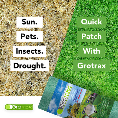 Grotrax Biodegradable Tall Fescue Grass Seed and Fertilizer Mat, 200 Foot Roll