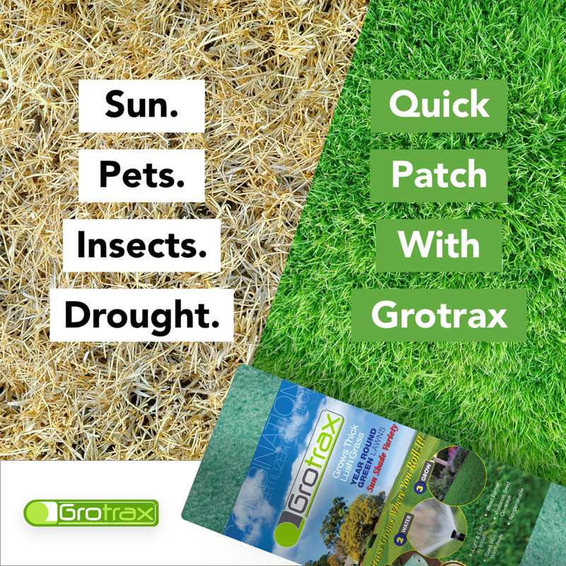 Grotrax Biodegradable Year Round Green Grass Seed & Fertilizer Mat, 200 Ft Roll