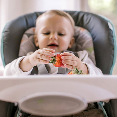 Ingenuity Trio Elite 3 in 1 Full Size Baby Toddler High Chair Booster, Bryant