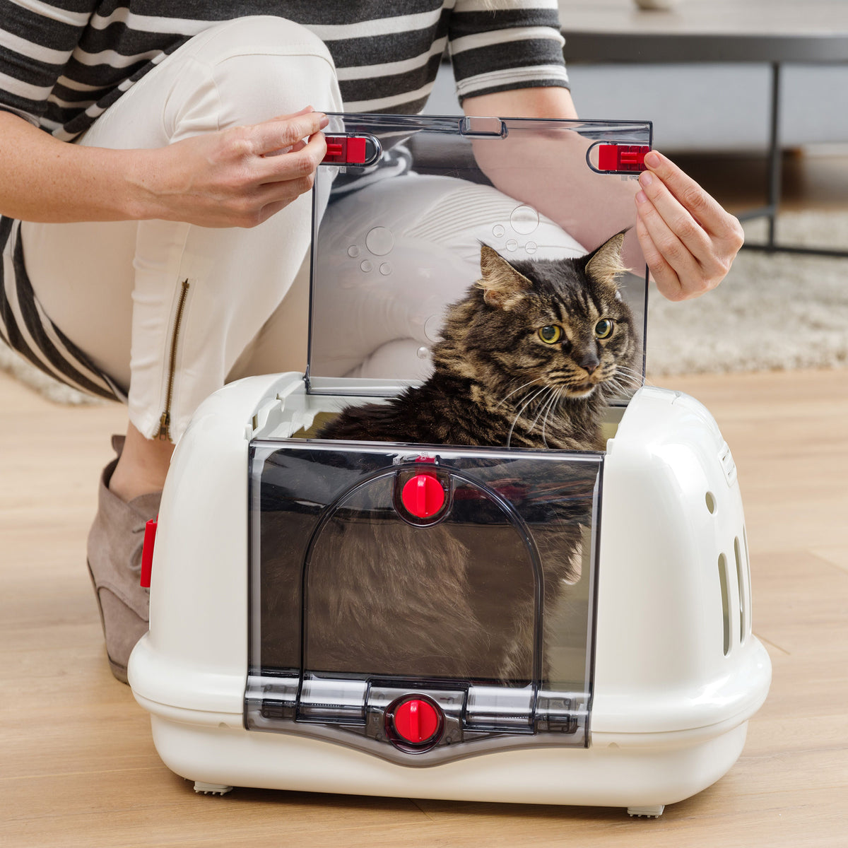 IRIS USA 301991 See-Through Small Animal Pet Carrier with Carry Handle, White
