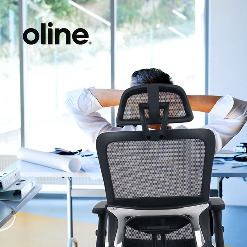 Oline ErgoMax Ergonomic Adjustable Swivel Office Chair w/ Lumbar Support, Gray