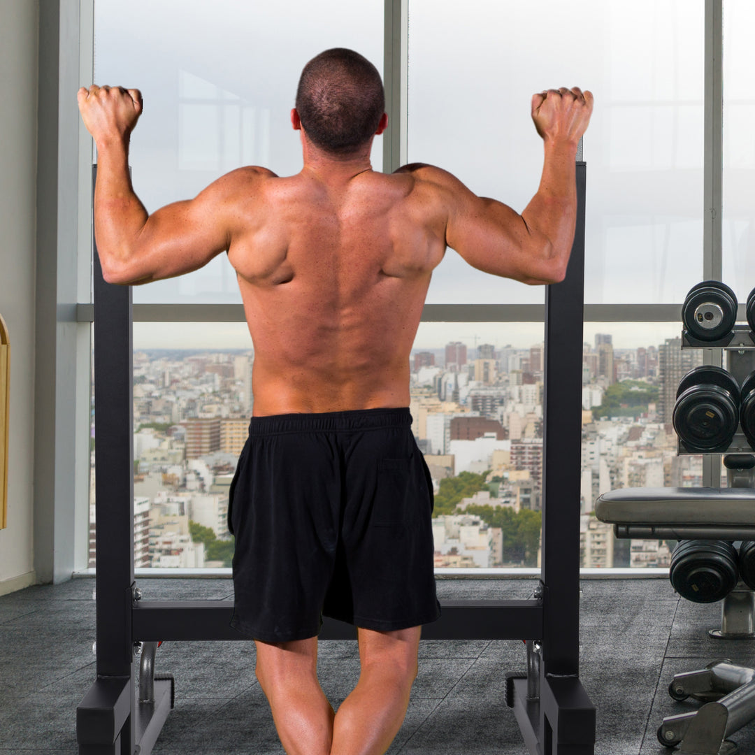 BalanceFrom Multi-Function Home Gym Dip Stand, 500lb Capacity, Black (Used)