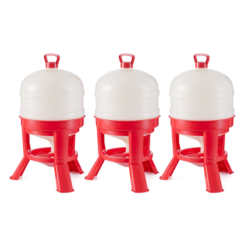 Little Giant 8 Gallon Tank Heavy Duty Poultry Chicken Gravity Waterer (3 Pack)