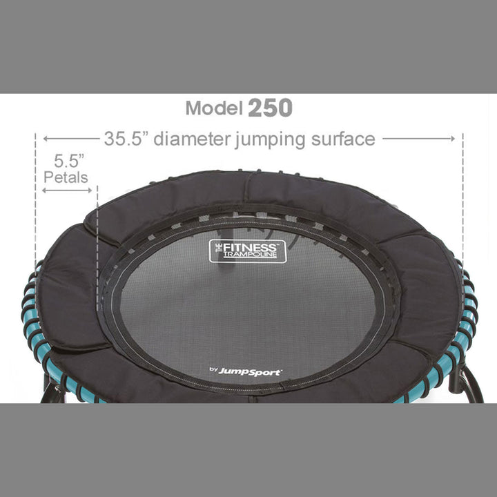 JumpSport Workout Rebounder for Adults, 39" Mini Fitness Trampoline, Teal (Used)