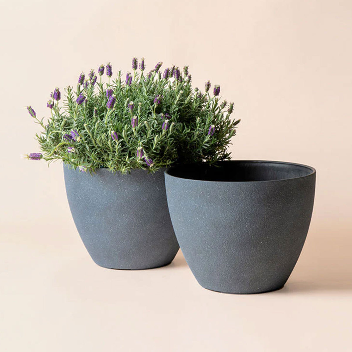 La Jolie Muse Tuileries Weathered Grey Round Matte Planters, Grey, Set of 2