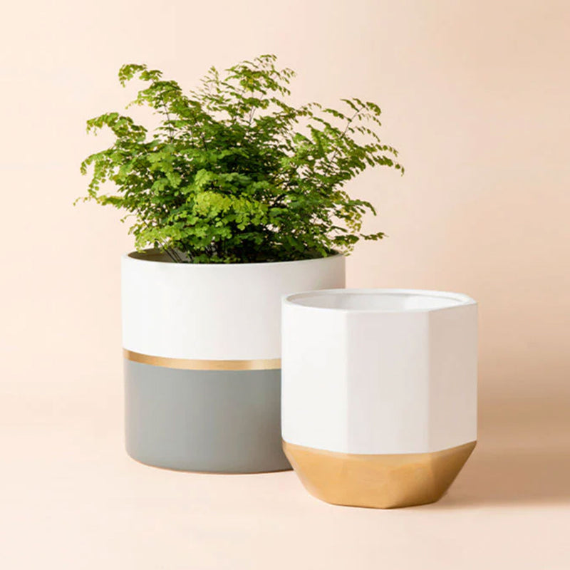La Jolie Muse Garonne Grey Pots 10 and 8.1 Inch, Grey and White with Gold Accent