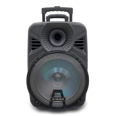 AudioBox 15 Inch Karaoke Bluetooth Speaker with Tripod and Microphone (Used) - VMInnovations