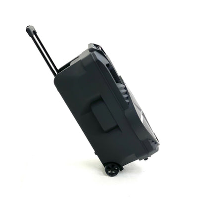 AudioBox 15 Inch Karaoke Bluetooth Speaker with Tripod and Microphone, Black