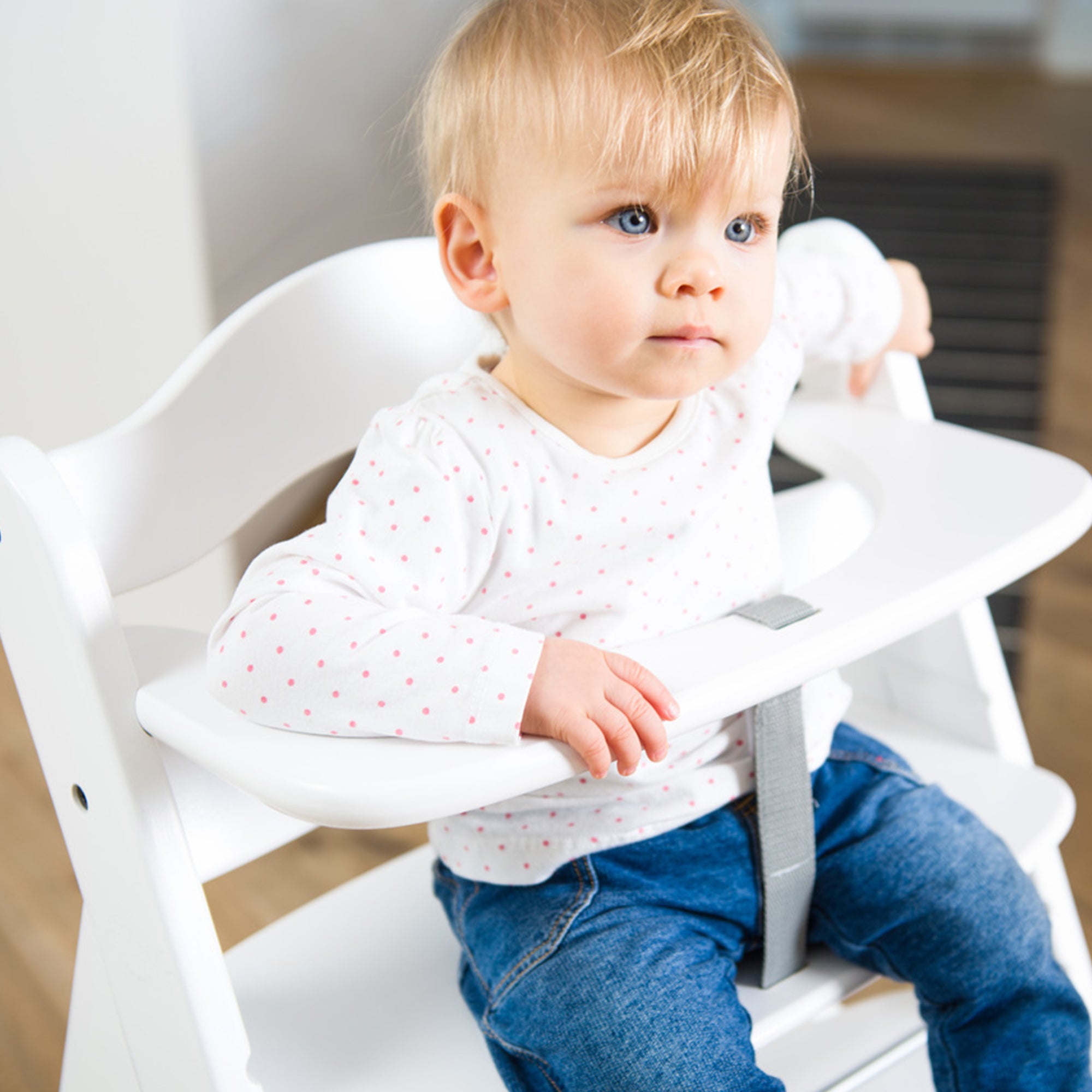 hauck Alpha+ Grow Along Adjustable Wooden Highchair, Beechwood,White(For Parts) - VMInnovations