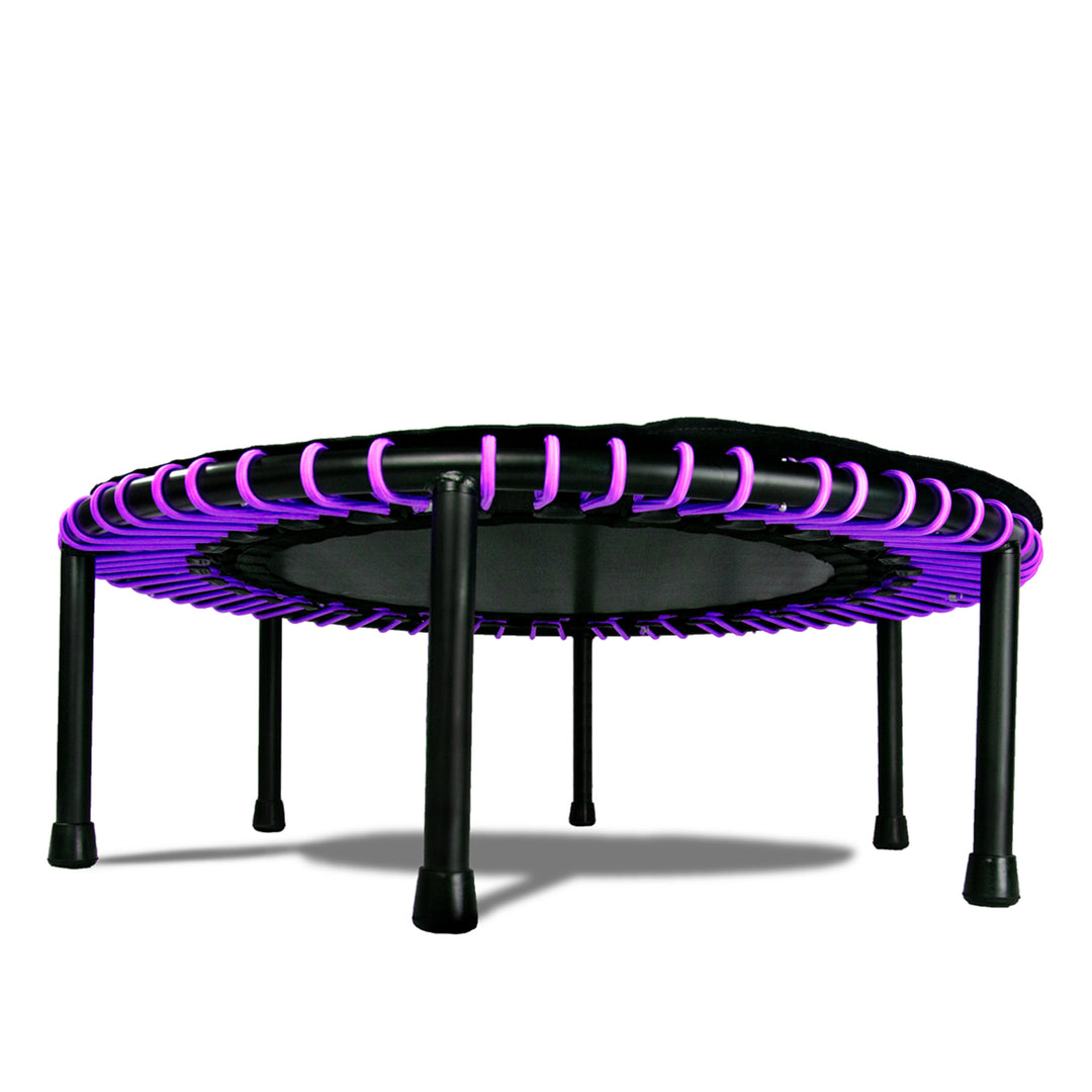 LEAPS & REBOUNDS 48" Mini Fitness Trampoline & Rebounder Gym Equipment, Purple