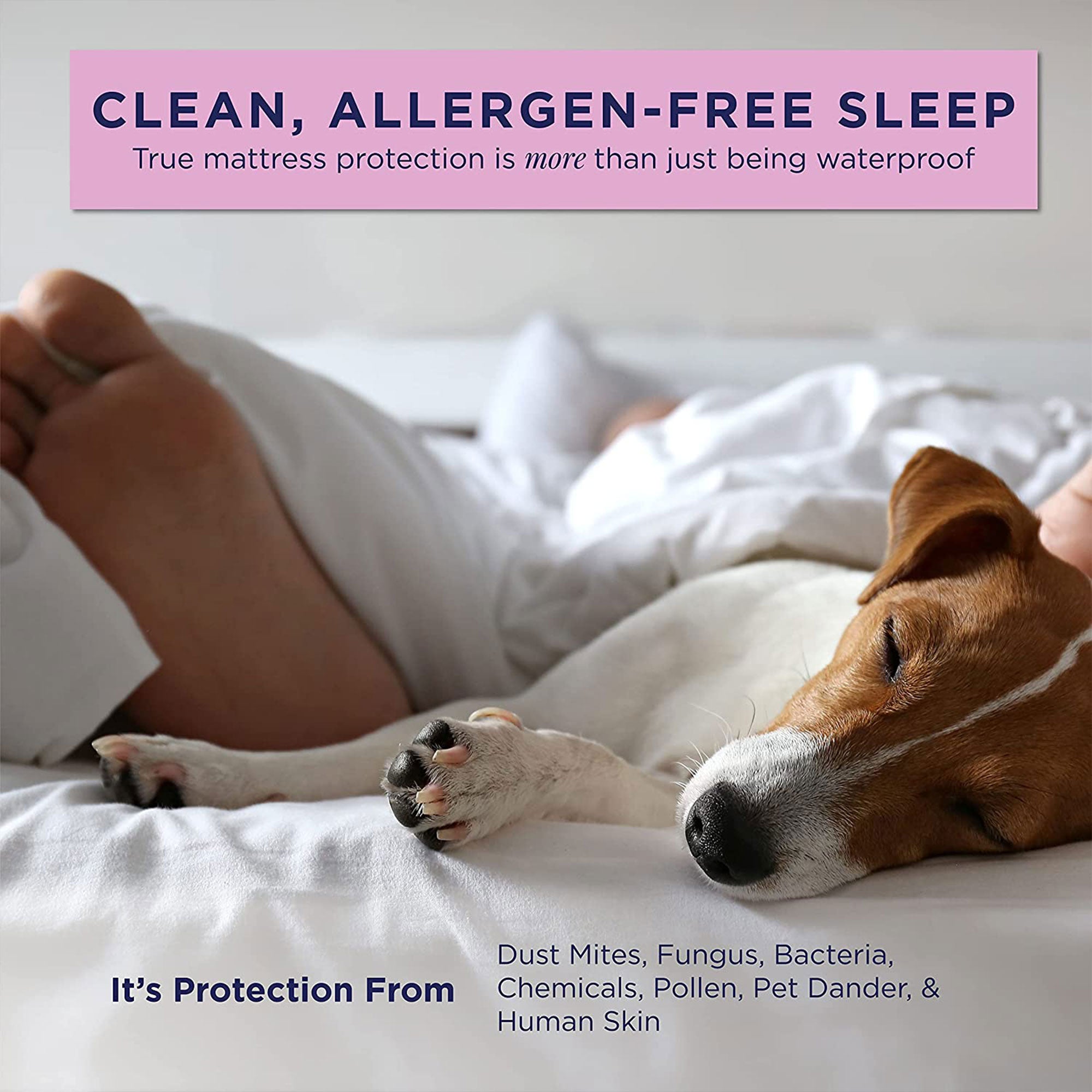 UltraBlock Zippered Mattress Protector Waterproof Cover Encasement, King, White - VMInnovations