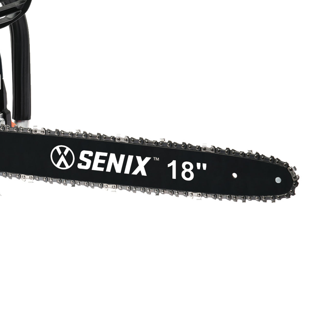 SENIX CS4QL-L1 4QL 18-Inch 49 cc 4-Cycle Gas Powered Chainsaw for Firewood, Blue
