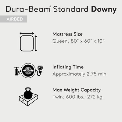Intex 10 Inch Dura-Beam Standard Downy Air Mattress, Queen (Pump Not Included) - VMInnovations