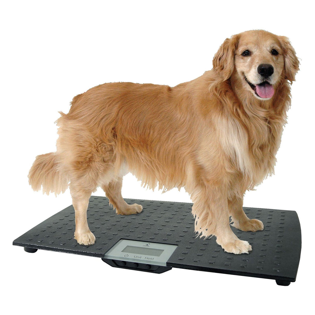 Redmon Pet Large Non-Skid Rubber Precision Digital Pet Weight Scale (Open Box)