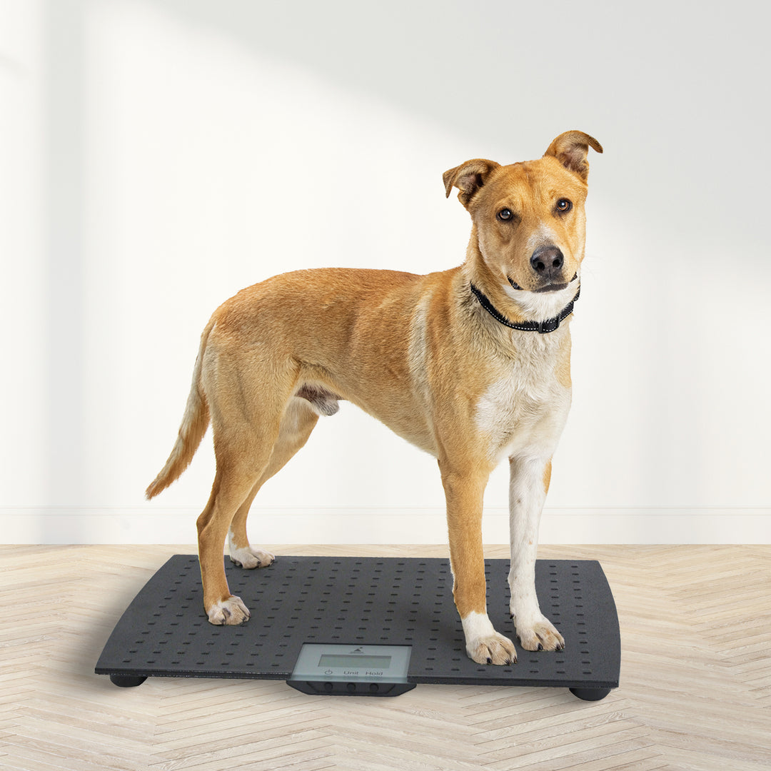 Redmon Pet Partners Large Non-Skid Rubber Precision Digital Pet Weight Scale