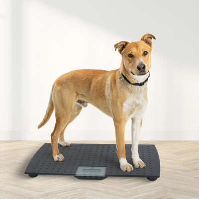 Redmon Pet Large Non-Skid Rubber Precision Digital Pet Weight Scale (Used)