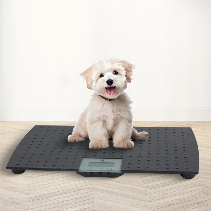 Redmon Digital Dog Scale for Large Pets w/ Non-Skid Mat, 225lb Capacity, 50 Pack