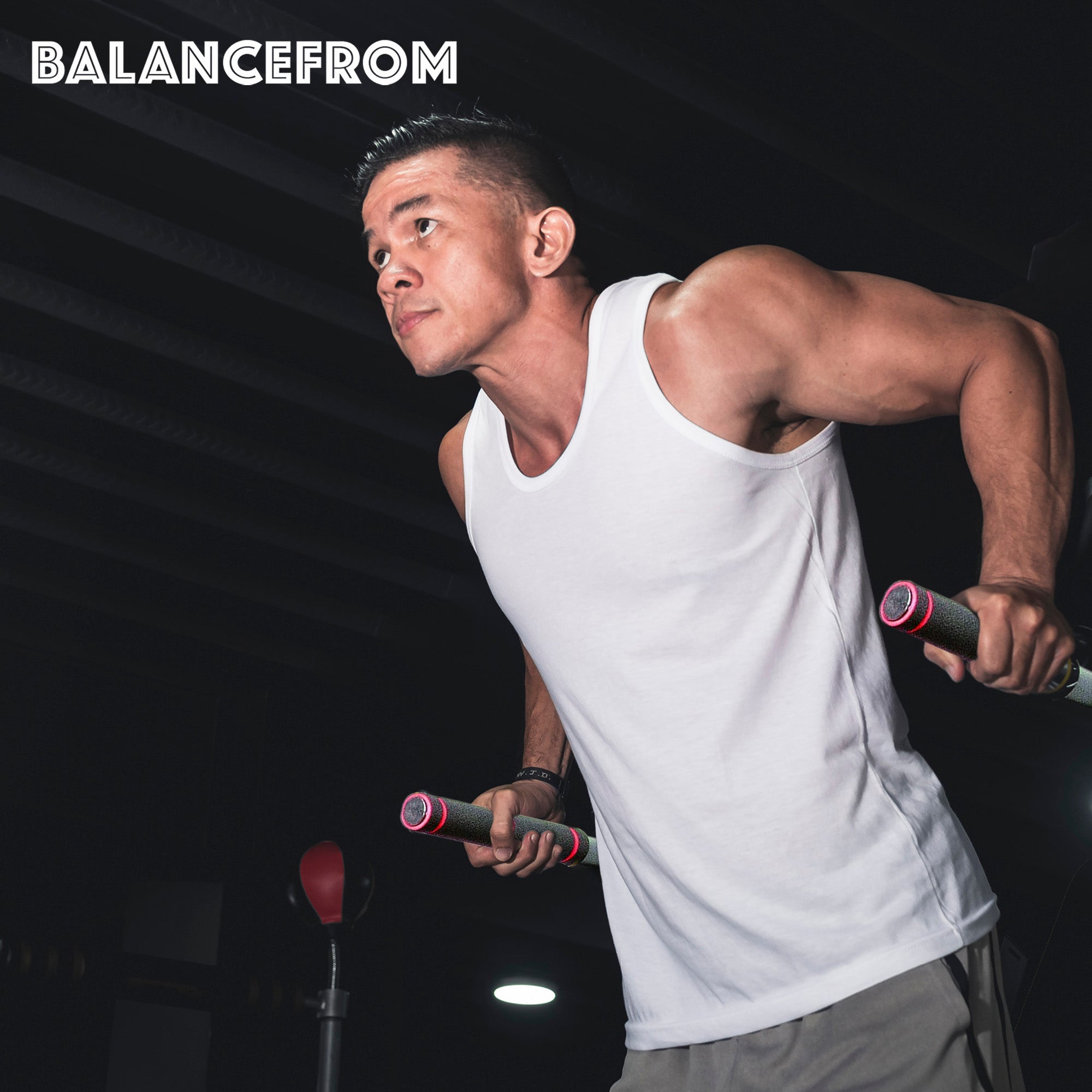 BalanceFrom Multi-Function Home Gym Dip Stand, 500lb Capacity, Red (For Parts) - VMInnovations