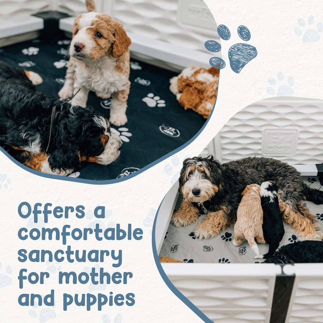 EZwhelp EZclassic 38"x38" Puppy Whelping Box w/Rails & Liner, Black (Open Box)