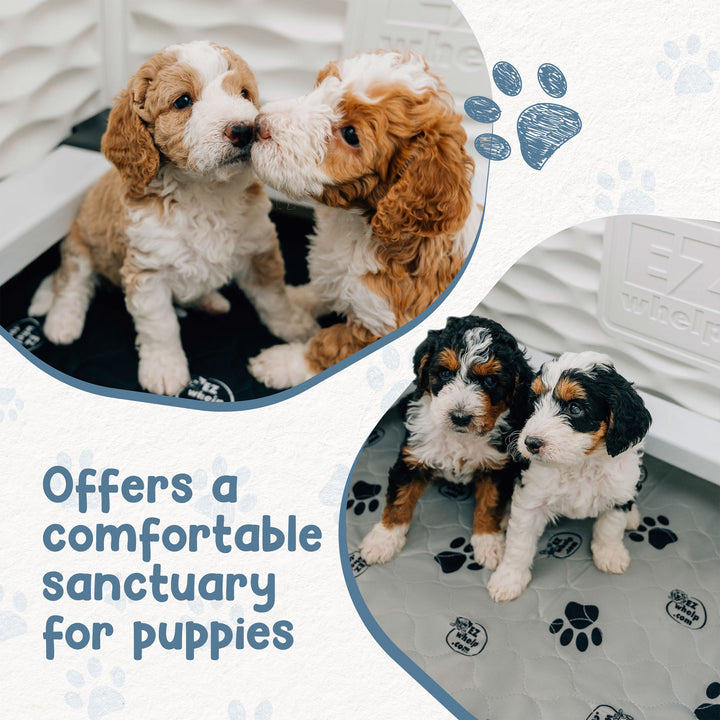 EZwhelp EZclassic 28"x28" Puppy Dog Whelping Box Playpen w/Rails & Liner, Black - VMInnovations