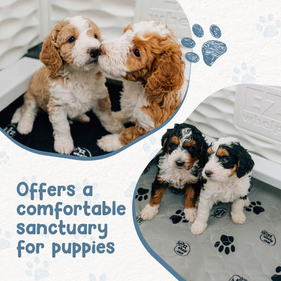 EZwhelp 28"x28" Puppy Dog Whelping Box Playpen w/Rails & Liner, Black(For Parts) - VMInnovations