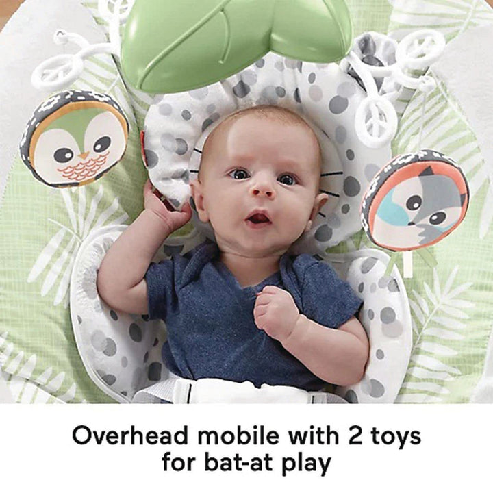 Fisher-Price Snow Leopard Baby Bouncer w/ Soothing Sounds & Vibrations(Open Box)