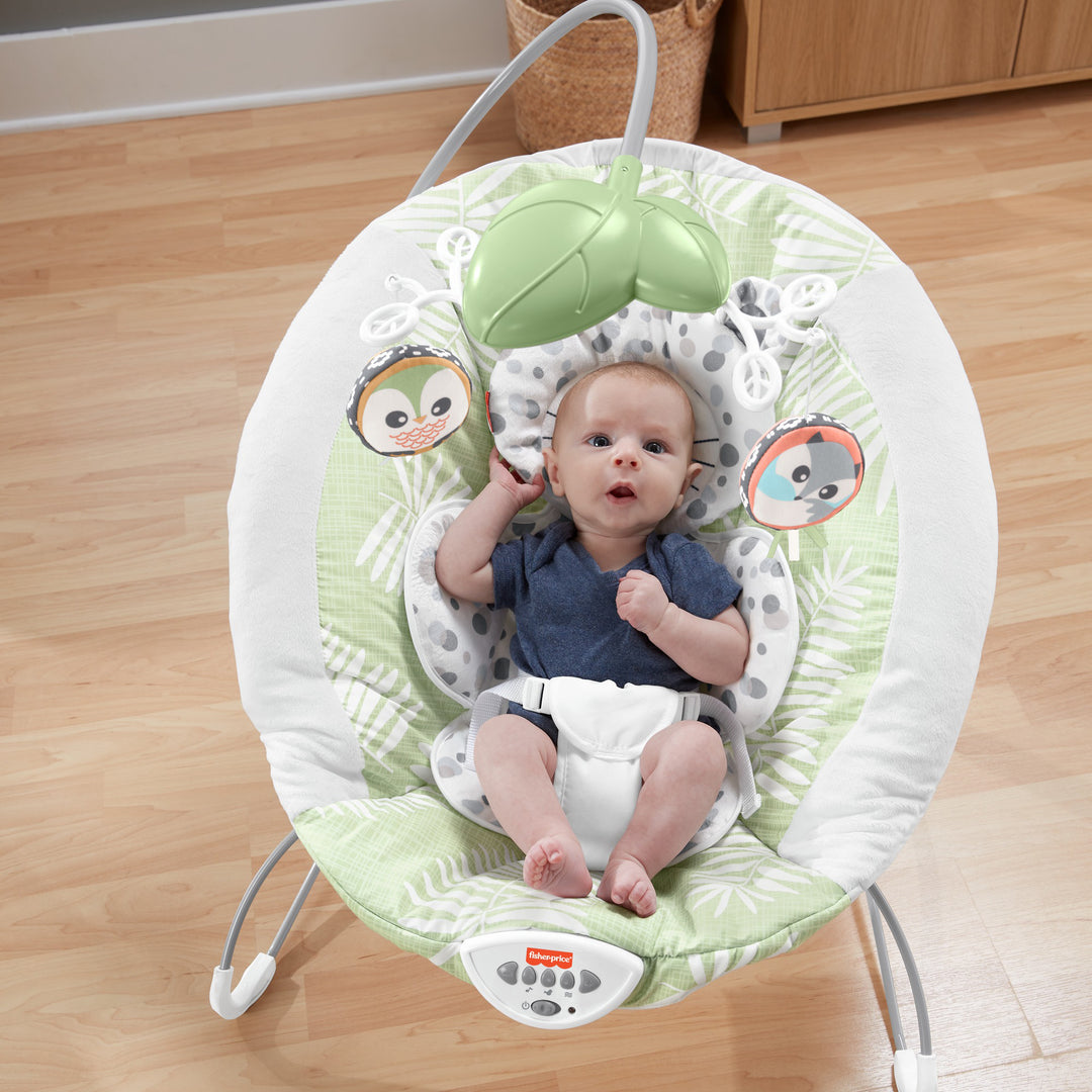 Fisher-Price Snow Leopard Baby Bouncer w/ Soothing Sounds & Vibrations(Open Box) - VMInnovations