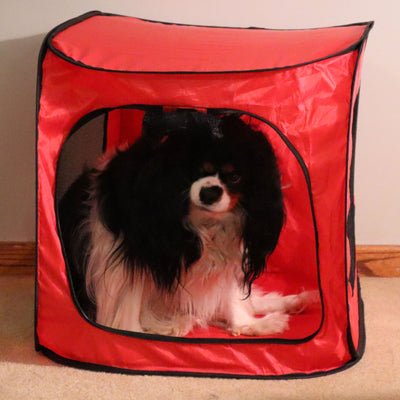 Redmon Medium Foldable Lightweight Portable Pop Up Dog Pet Travel Crate, Red