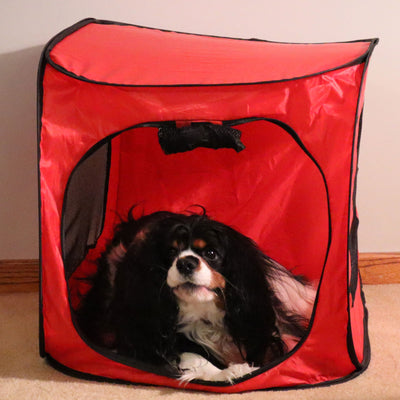 Redmon Medium Foldable Lightweight Portable Pop Up Dog Pet Travel Crate, Red