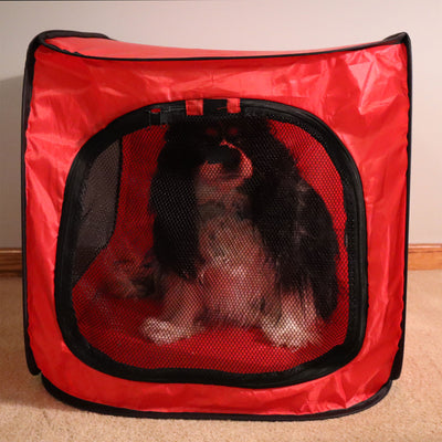 Redmon Medium Foldable Lightweight Portable Pop Up Dog Pet Travel Crate, Red