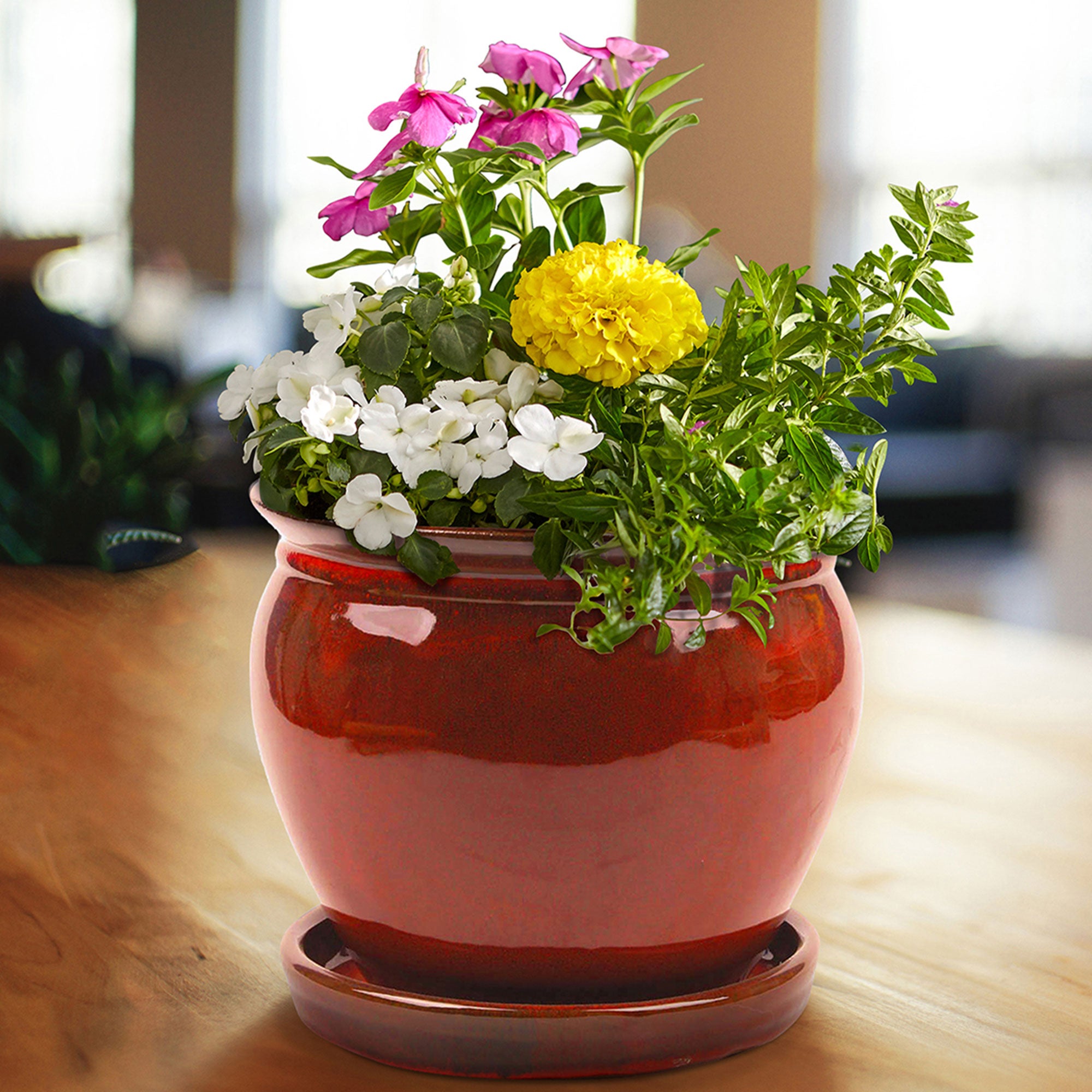Southern Patio Wisteria 8" Round Ceramic Planter Pot with Saucer, Red (2 Pack) - VMInnovations