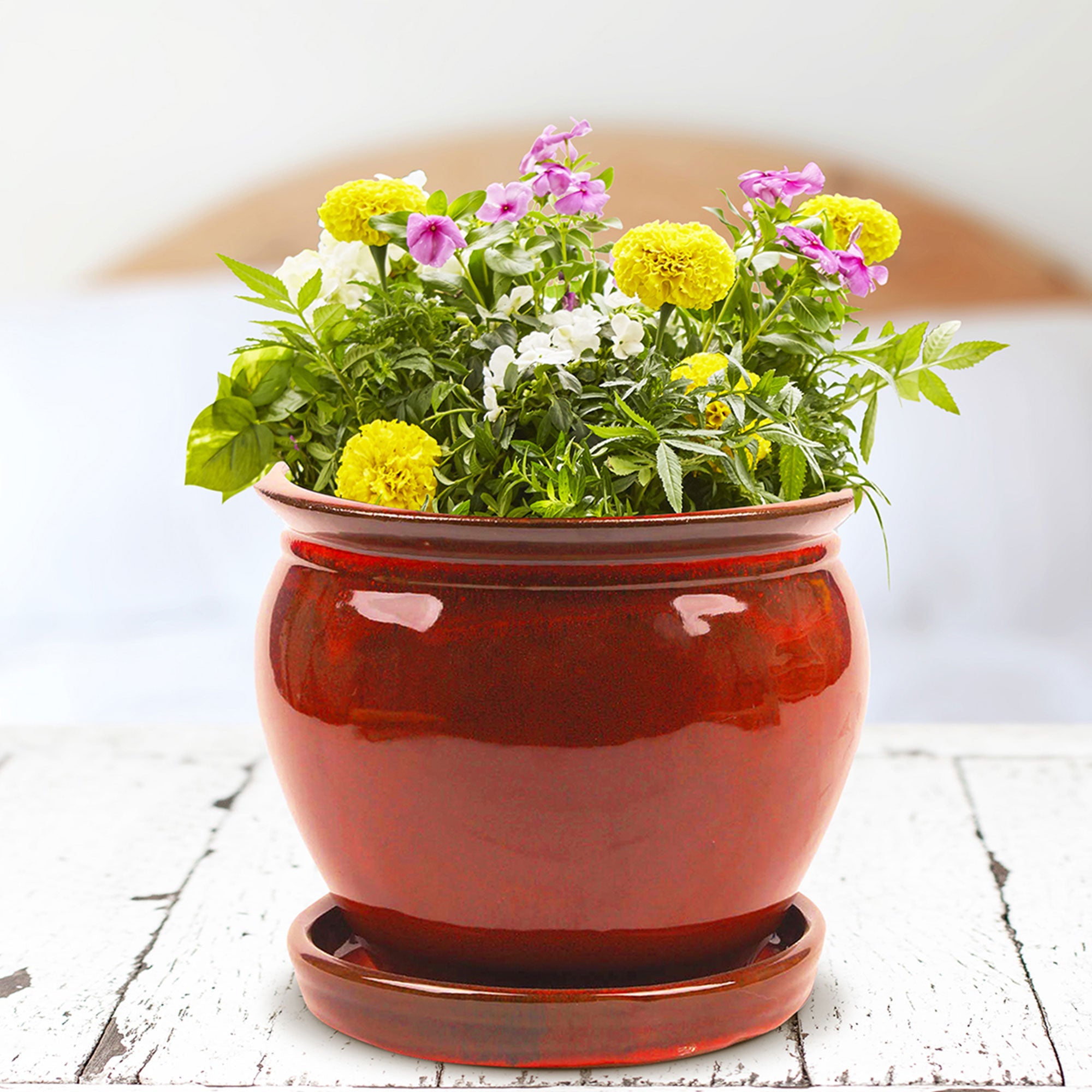 Southern Patio Wisteria 8" Round Ceramic Planter Pot with Saucer, Red (2 Pack) - VMInnovations