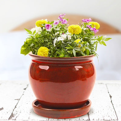 Southern Patio Wisteria 8" Round Ceramic Planter Pot with Saucer, Red (2 Pack) - VMInnovations