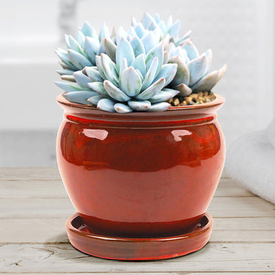 Southern Patio Wisteria 8" Round Ceramic Planter Pot with Saucer, Red (2 Pack) - VMInnovations