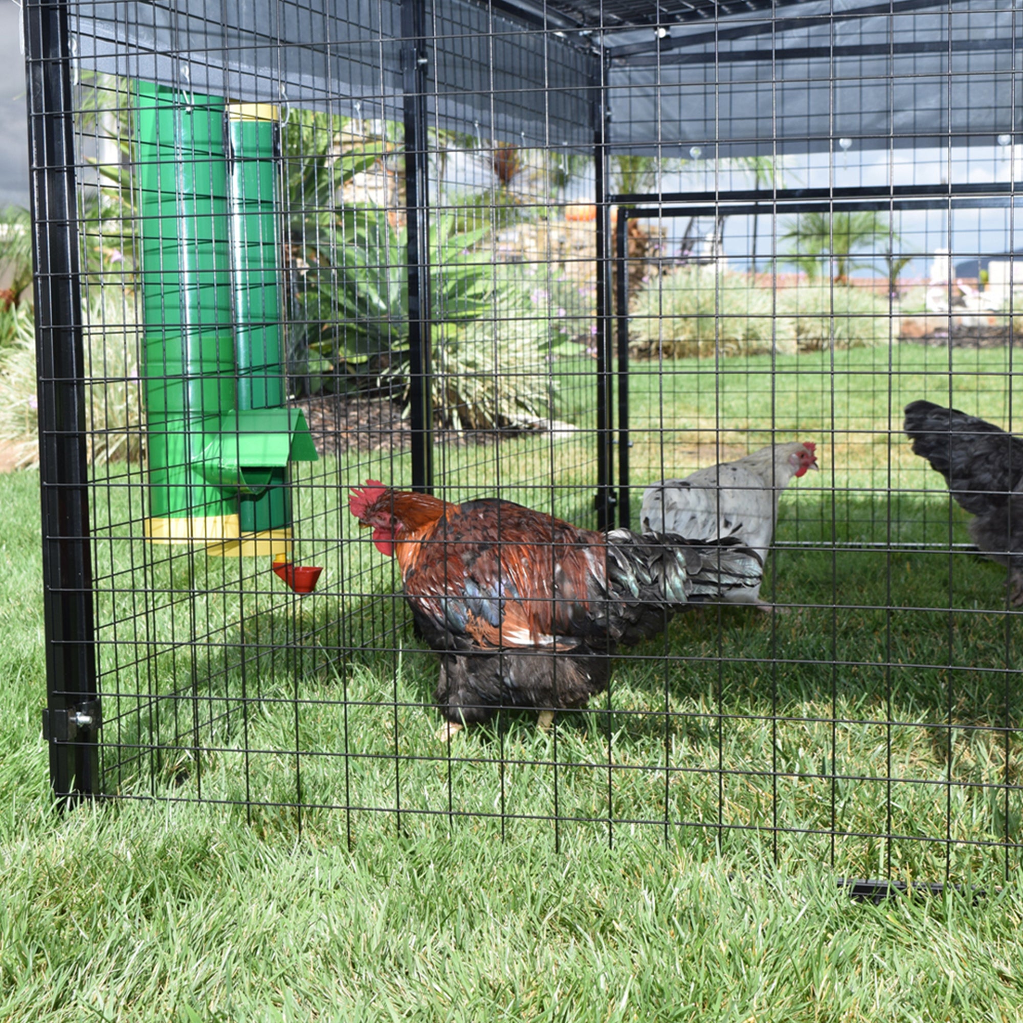 Rugged Ranch High End Hen 2 Gallon Poultry Waterer and Mounting System (4 Pack) - VMInnovations