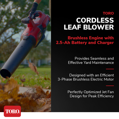 Toro 60 Volt Cordless Handheld Leaf Blower w/ 2 Ah Battery & Charger (Used)