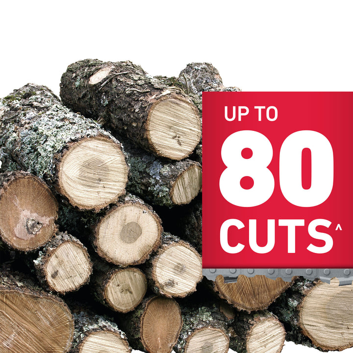 Toro Flex Force 60V 10" Cordless Electric Pole Saw w/ Battery&Charger(Open Box)