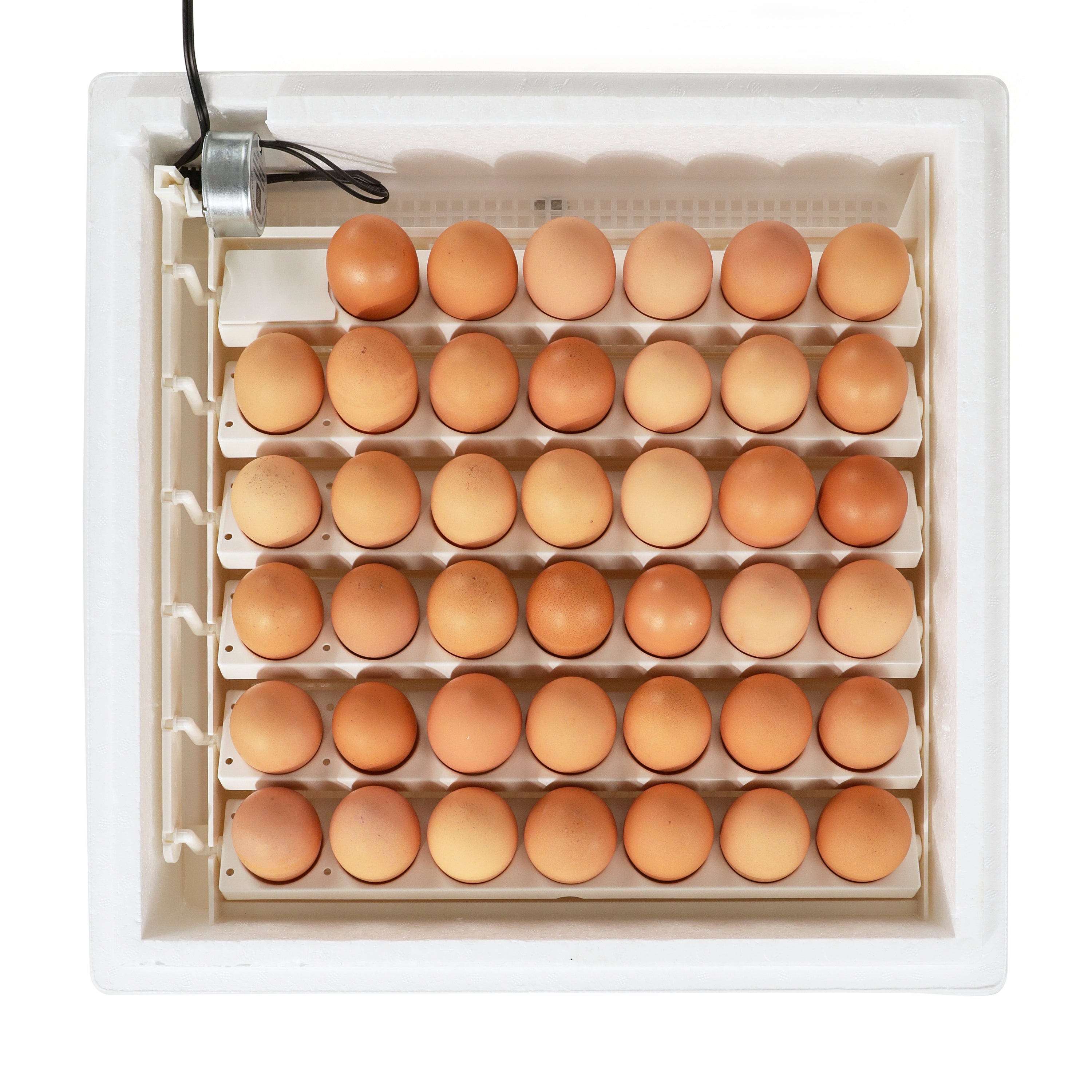 Farm Innovators 3200 Automatic 41 Spot Egg Turner for Improved Hatching, White - VMInnovations
