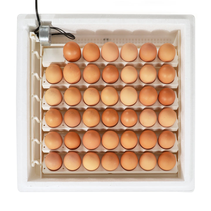 Farm Innovators 3200 Automatic Egg Turner for Improved Hatch, White (Open Box)