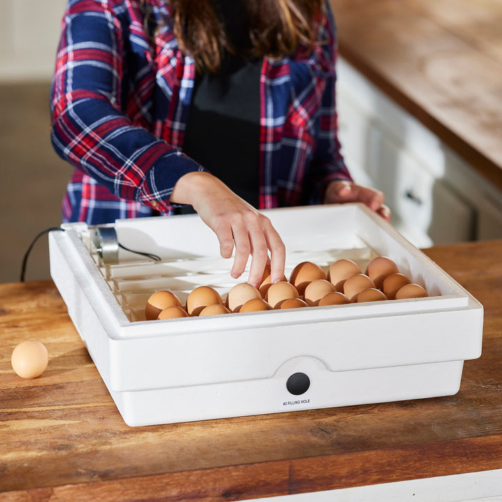 Farm Innovators 3200 Automatic Egg Turner for Improved Hatch, White (Open Box)