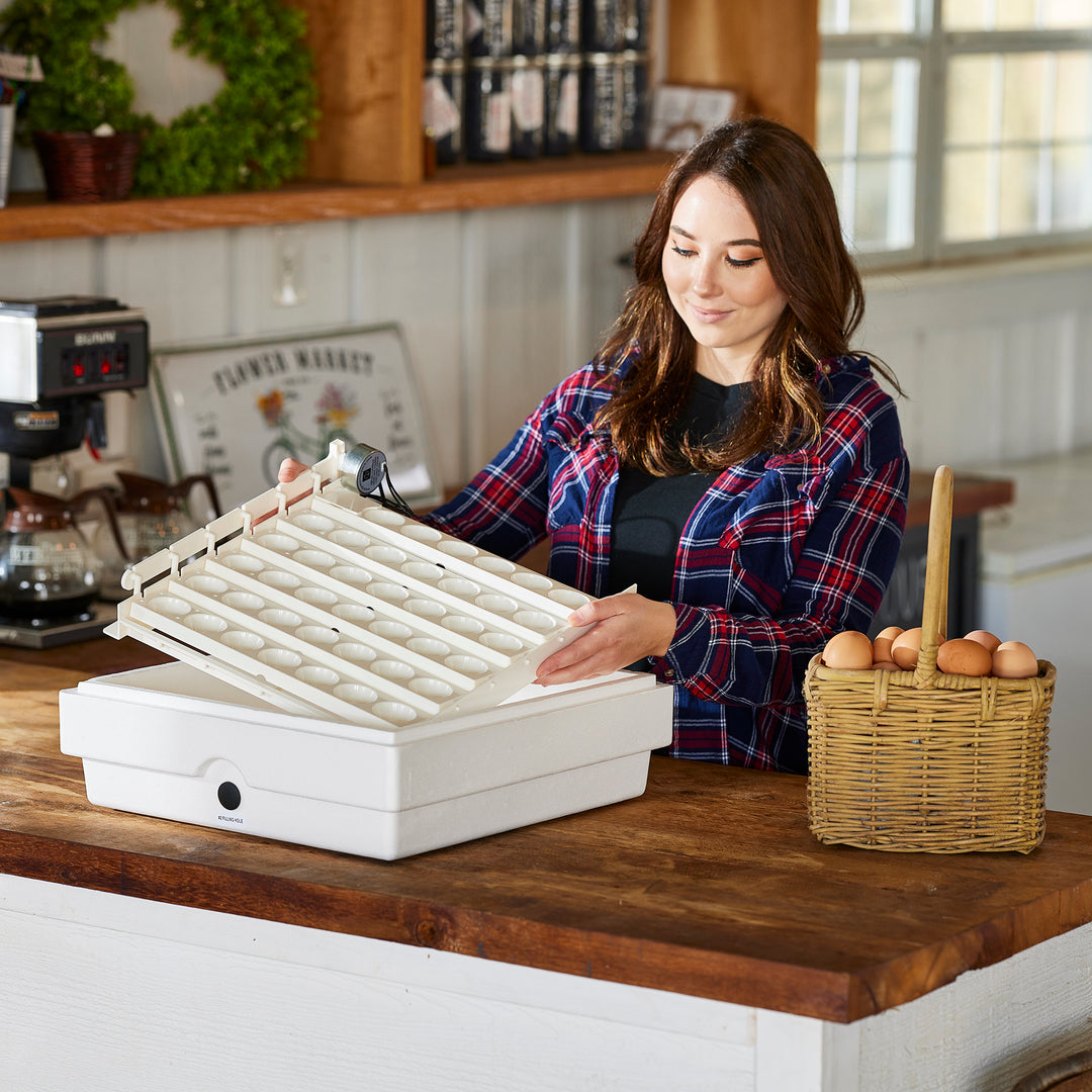 Farm Innovators 3200 Automatic 41 Spot Egg Turner for Improved Hatching, White