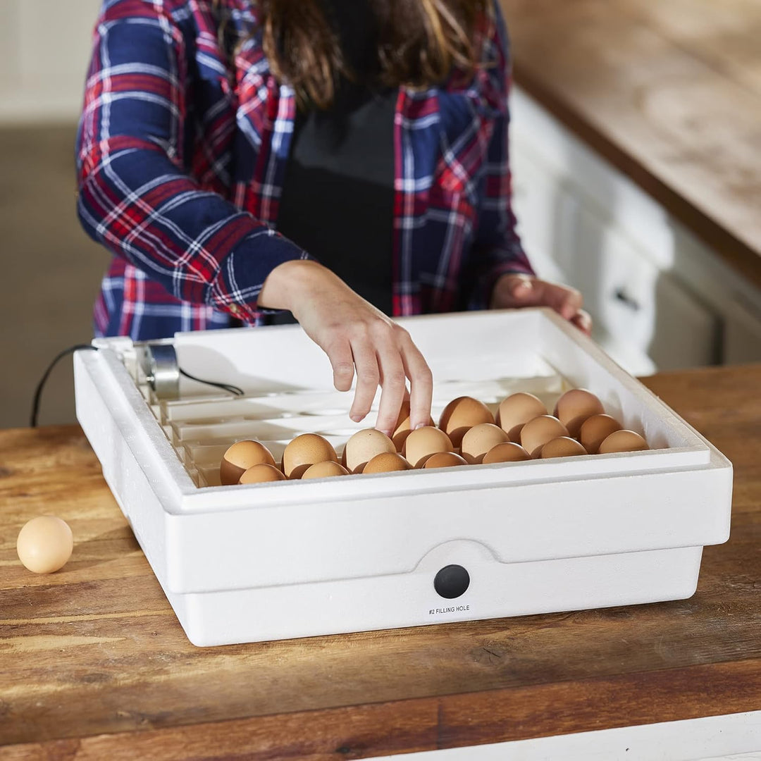 Farm Innovators 3200 Automatic 41 Spot Egg Turner for Improved Hatching (4 Pack) - VMInnovations