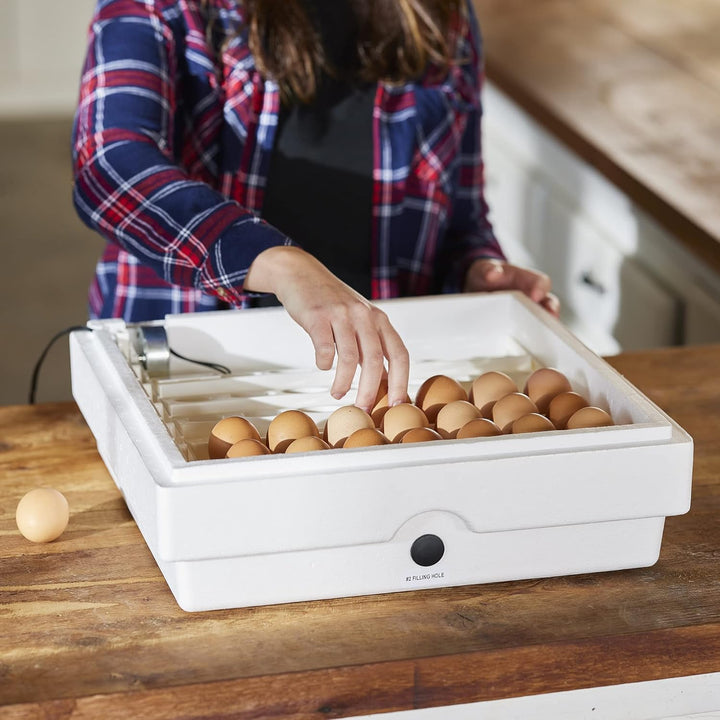 Farm Innovators 3200 Automatic 41 Spot Egg Turner for Improved Hatching (4 Pack) - VMInnovations