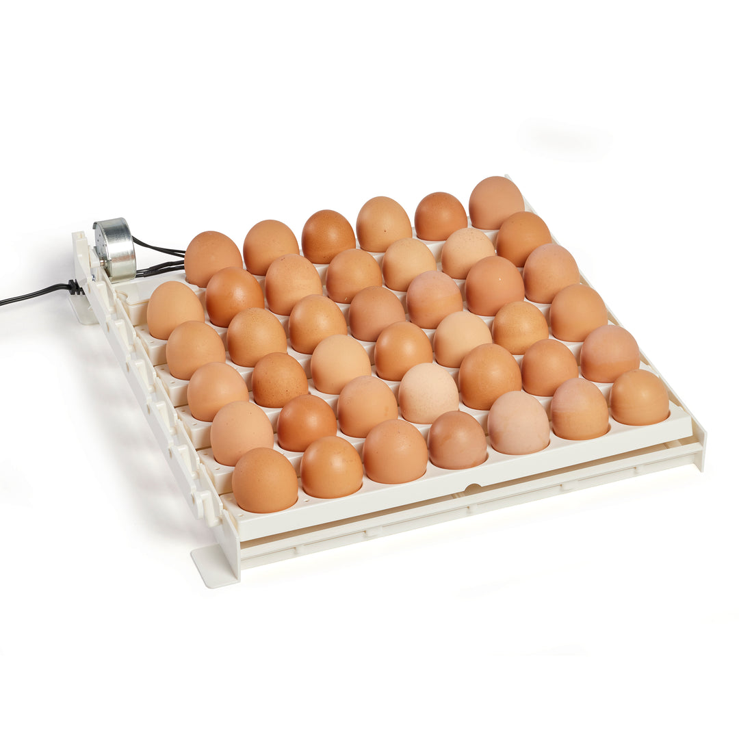 Farm Innovators 3200 Automatic Egg Turner for Improved Hatch, White (Open Box)
