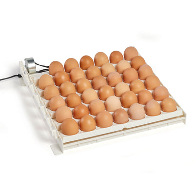 Farm Innovators 3200 Automatic 41 Spot Egg Turner for Improved Hatching (3 Pack) - VMInnovations